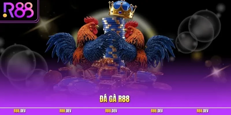Đá gà R88